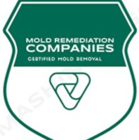 Grand Rapids Mold Remediation Pros