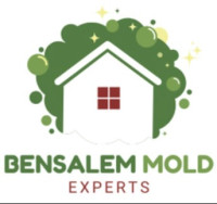 Mold Remediation Bensalem Experts