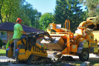 Rausch Tree and Outdoor Services