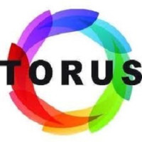 Torus Cold Press Juicers
