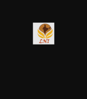Laxmi Narayan International