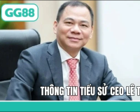 CEO Lê Thắng Long