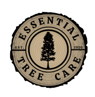 Essential Tree Care