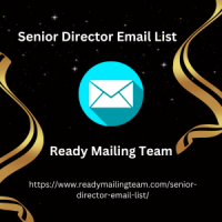 Maximize Your B2B Success with the Senior Director Email List