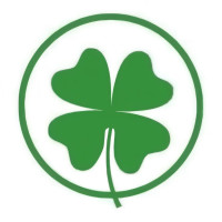 Shamrock Detailing & Ceramic Coating Columbus Ohio