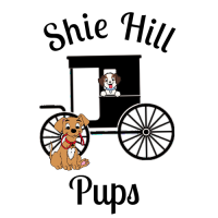 Shie Hill Pups