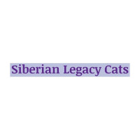 Siberian Legacy Cats