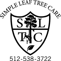 Simple Leaf Tree Care