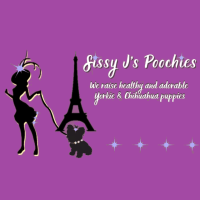Sissy J's Poochies
