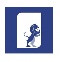 Solano Consultants LLC