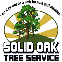 Solid Oak Tree Service