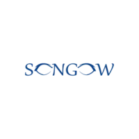 Songow Consulting