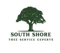South Shore Tree Service Experts