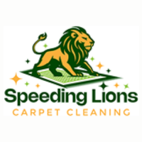 Speeding Lions Carpet Cleaning