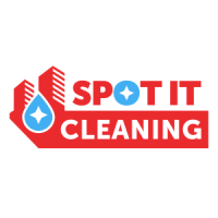 Spot It Cleaning