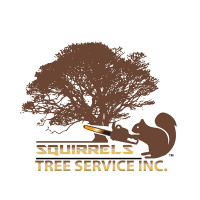 Squirrels Tree Service Inc