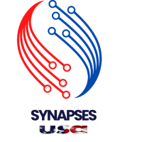 Synapses USA