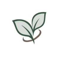 Tea Olive Capital - Personalized Financial Planning & Wealth Management