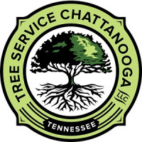 Chattanooga Tree Service, LLC