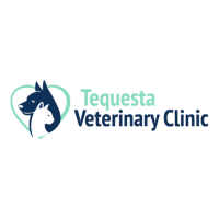 Tequesta Veterinary Clinic