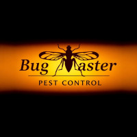 The Bug Master