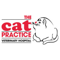 The Cat Practice