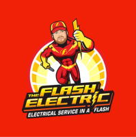 The Flash Electric
