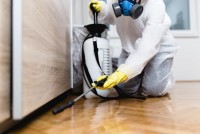 Pest Control Redcliffe