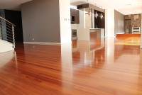 The Best Blinds Company - The Blind Guy of SouthWest Florida