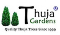 Thuja Gardens
