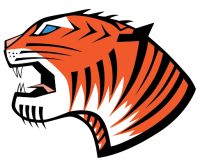 Tiger Granite and Marble