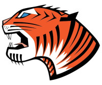 Tiger Granite and Marble