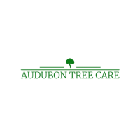 Audubon Tree Care LLC