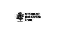 Affordable Tree Service Bronx, NYC