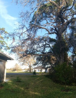 Treasure Coast Tree & Land Services