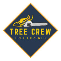 Tree Crew - Tree Experts