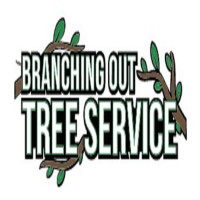 Tree Cutting & Trimming St.James