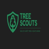 Tree Scouts Tree Service Lakeway