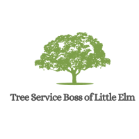 Tree Service Boss of Little Elm