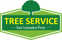 Tree Service San Leandro Pros