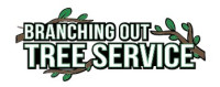 Tree Service Suffolk County Amityville