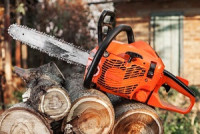 Seaside Tree Service