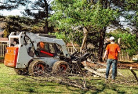 Temple City Tree Service