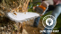 Tree Time Tree Services