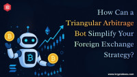 Best Triangular Arbitrage Crypto Services Provider in USA