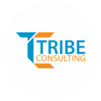 Tribe Consulting USA