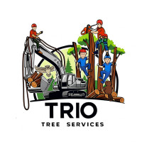 Trio Tree Services