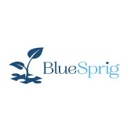 Trumpet Behavioral Health, a division of BlueSprig