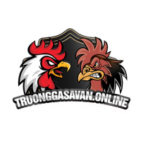 TRƯỜNG GÀ SAVAN - NƠI DIỄN RA NHỮNG TRẬN ĐẤU RỰC LỬA