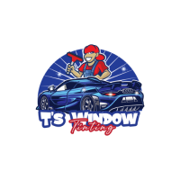 Advanced Tinting Solutions for Every Drive